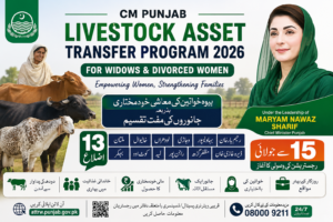 Punjab Livestock card